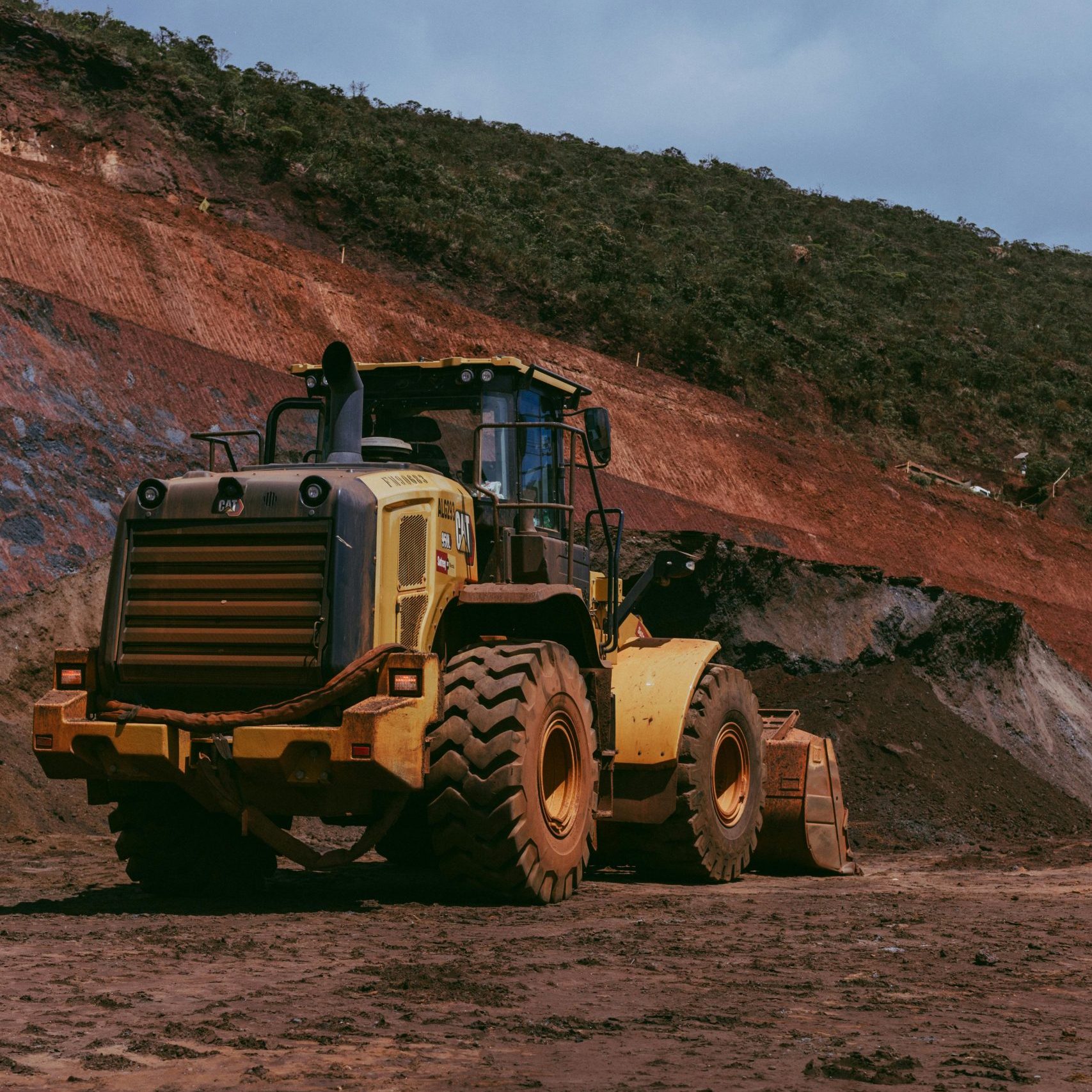 pexels-afterdark-31543889